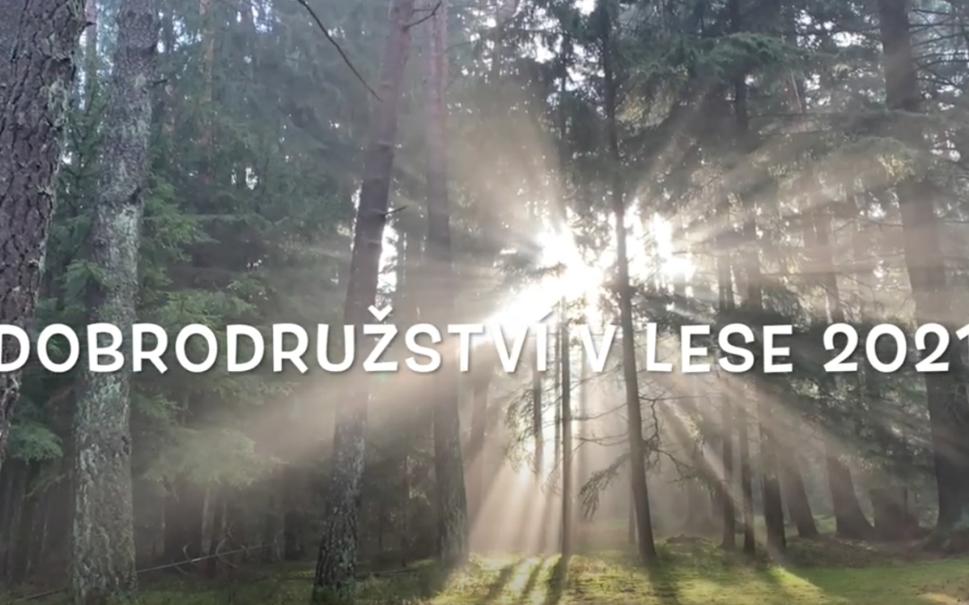 Dobrodružství v lese 2021 – video